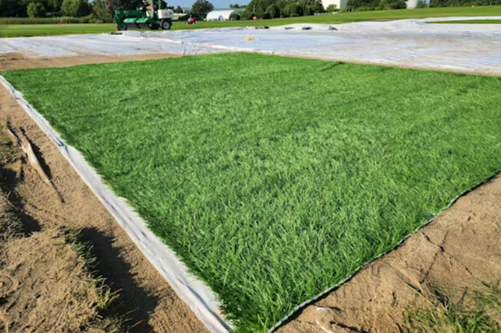 Fotografia do sistema de tapete para estabilizar grama.