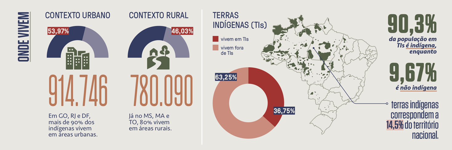 Gráfico, em fundo cinza neutro, com dados sobre a população indígena no Brasil.