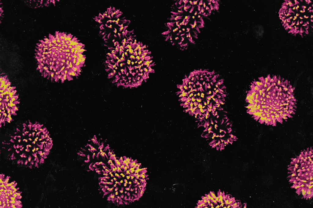 Imagem microscópica do vírus Tupanvirus.