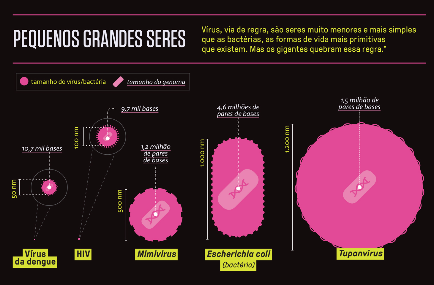 Gráfico, em fundo preto, comparando o tamanho de vírus e bactérias.