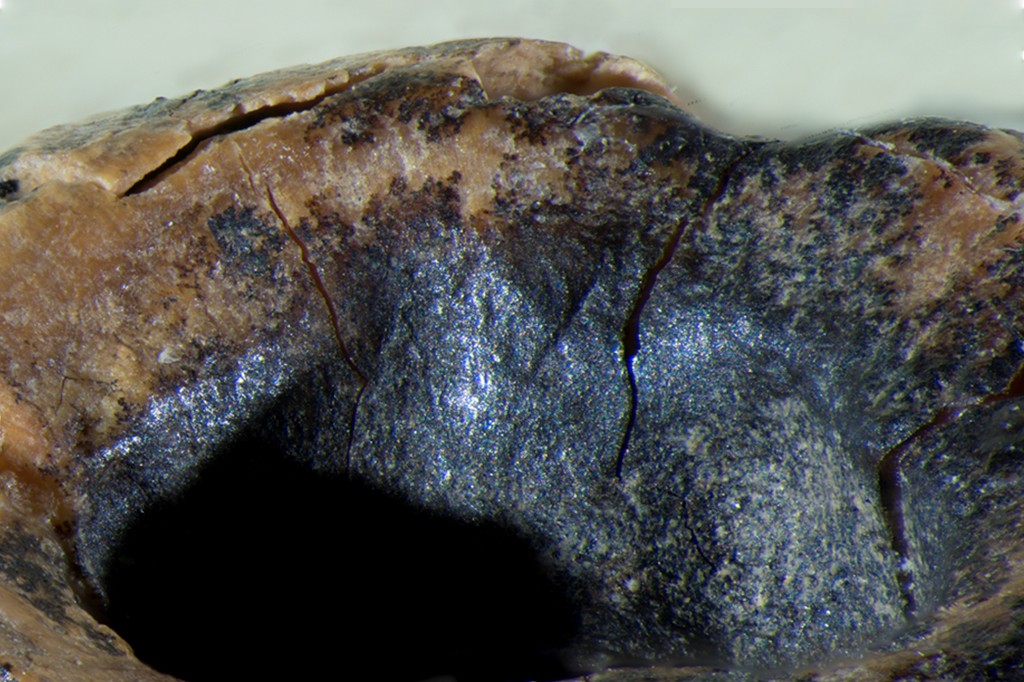 Textura rugosa de uma superfície com tons de marrom claro e preto, apresentando rachaduras e um buraco escuro na parte inferior esquerda