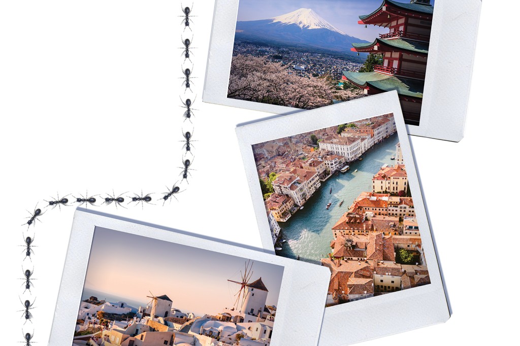 Formigas pretas em fila indiana conectam três fotos de viagem: Monte Fuji com cerejeiras, Veneza com canal e gôndolas, e Santorini com moinhos de vento brancos.