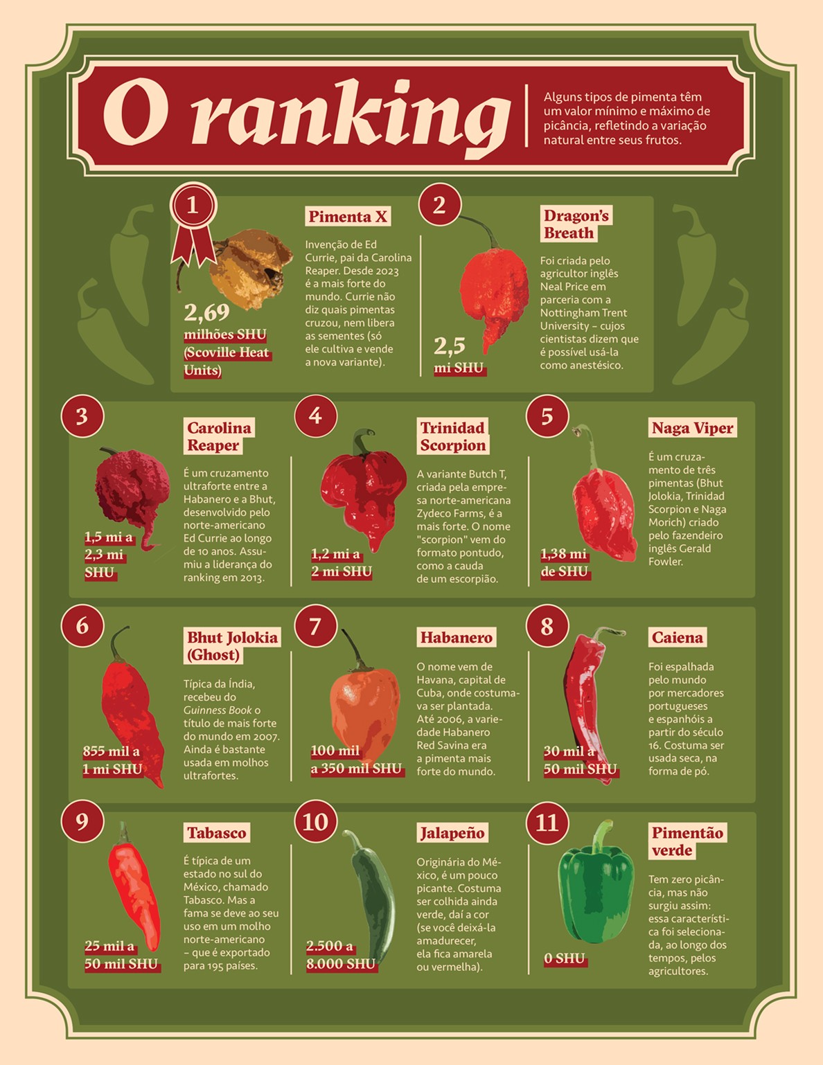 Infográfico, em fundo verde,