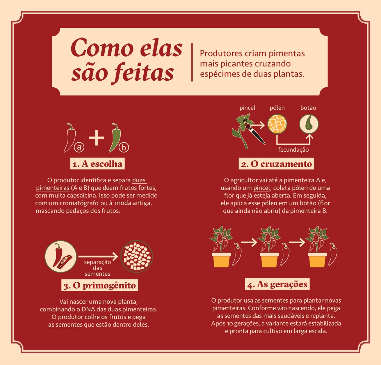 Infográfico, em fundo vermelho,