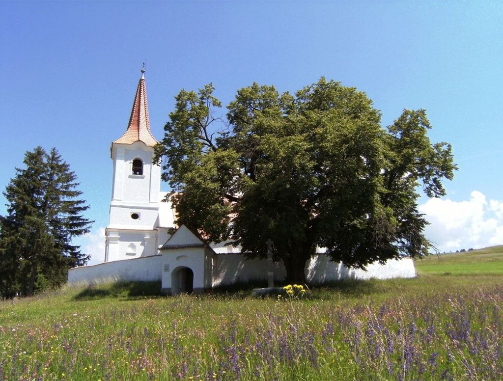 Igreja branca com telhado laranja pontudo e uma cruz no topo, cercada por um muro baixo e árvores frondosas, em um campo verde com flores roxas e amarelas sob céu azul claro