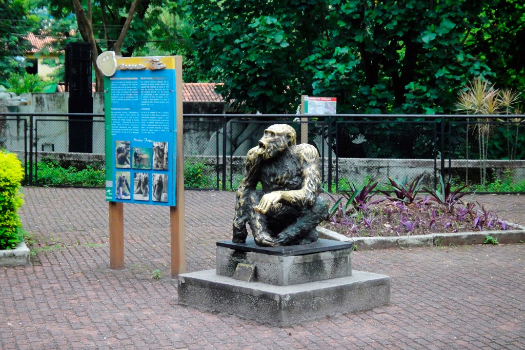 Estátua de um macaco em um pedestal de concreto. Ao lado, uma placa informativa azul com texto e fotos de macacos. O cenário é um parque com árvores, arbustos e um piso de tijolos, cercado por grades pretas
