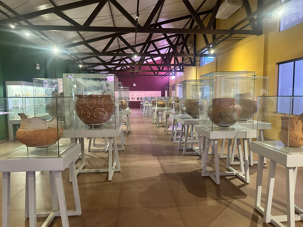 Interior de um museu com vasos de cerâmica antigos expostos em vitrines de vidro sobre pedestais brancos. O ambiente tem paredes verdes e amarelas, teto com vigas escuras e iluminação focada nas peças.