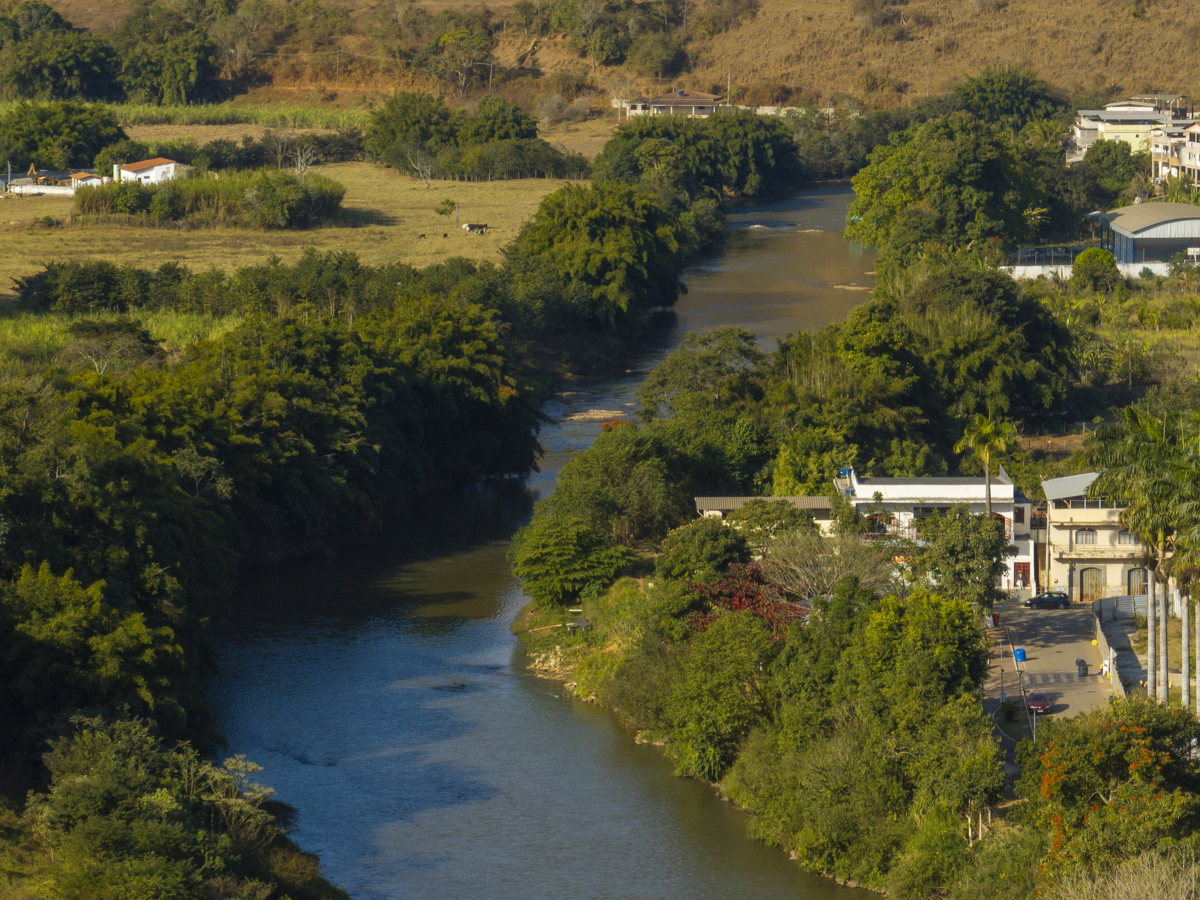 A região tem mostrado, como consequência das ações, um aumento da diversificação das comunidades biológicas