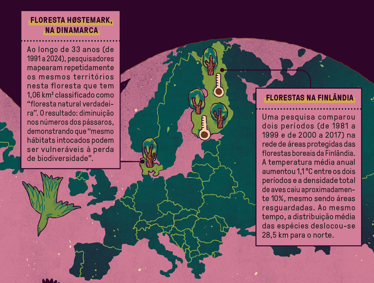 Mapa da Europa com destaque para Dinamarca e Finlândia, mostrando informações sobre perda de biodiversidade. Na Dinamarca, a Floresta Høstemark teve diminuição de pássaros. Na Finlândia, florestas boreais protegidas registraram aumento de 1,1°C na temperatura e queda de 10% na densidade de aves, com espécies deslocando-se 28,5 km para o norte